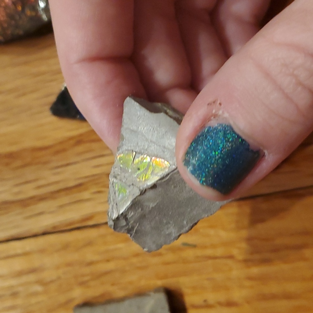 Ammolite fossil lot - Picture 9 of 12
